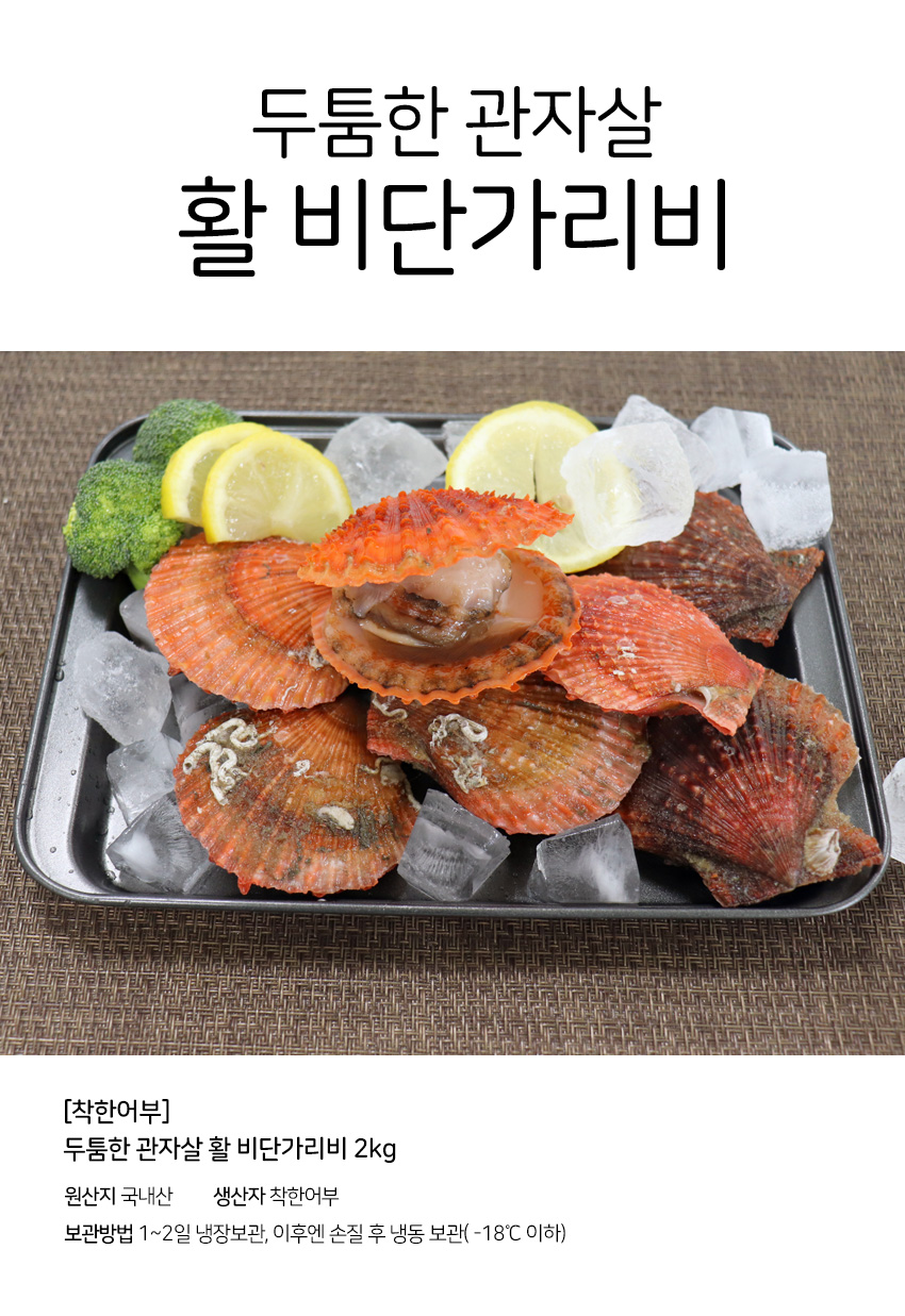[착한어부] 두툼한 관자살 활 비단가리비 2kg / 40미 내외 - NS홈쇼핑  [착한어부] 두툼한 관자살 활 비단가리비 2kg / 40미 내외 - NS홈쇼핑