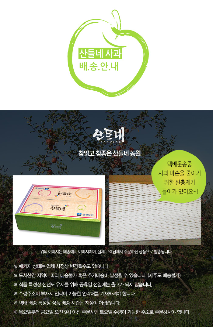 [상큼 깔끔한 영주사과]산들네 햇아오리 사과 7.5kg 48과내외 - 사는 게 즐겁다! 롯데닷컴